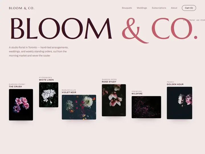Bloom & Co. landing page concept